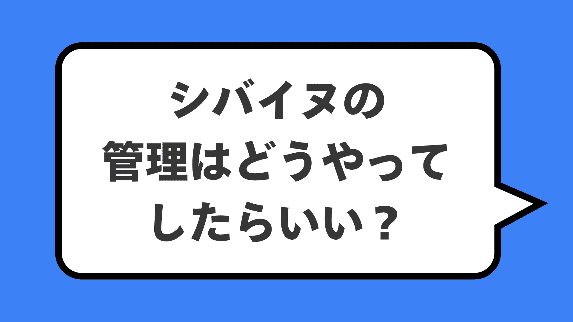 シバイヌの管理はどうやってしたらいい？